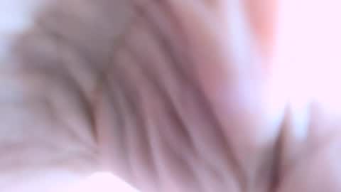 Valeria online show from December 2, 9:22 am