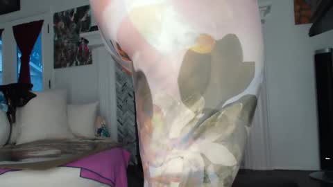 Snapshot of 11willowandjohn11 chatting on January 30, 1:42 pm Aurora Willows online show from January 30, 1:42 pm