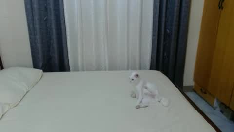 Snapshot of _amberxxx chatting on February 3, 5:03 pm Amber online show from February 3, 5:03 pm