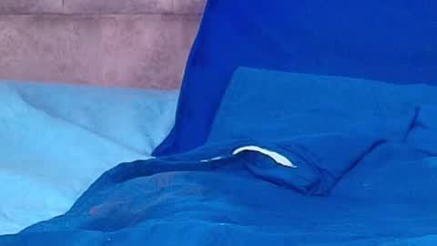 Snapshot of _aniisha_ chatting on October 5, 11:21 pm Any online show from October 5, 11:21 pm