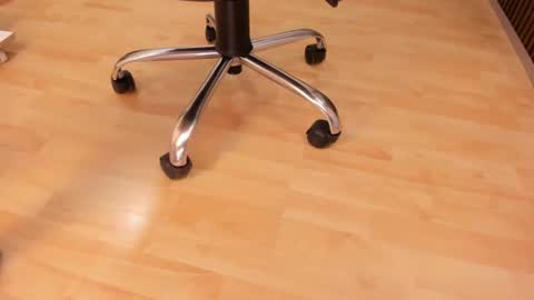    Brenda online show from October 16, 10:23 pm