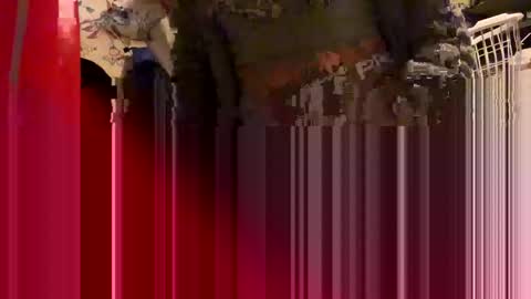 a_rae93 online show from October 16, 10:51 am