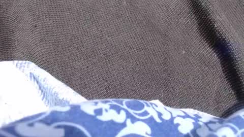 a_stacey online show from October 26, 5:30 pm