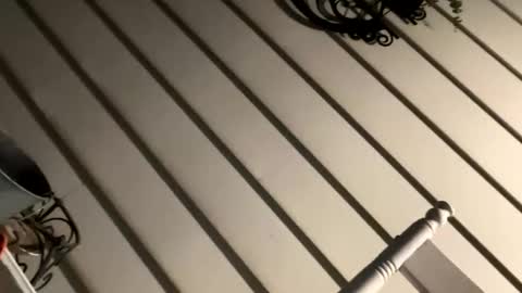 Acey online show from October 11, 7:02 am