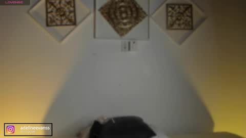 Snapshot of adelineevanss chatting on February 11, 4:12 am adeline online show from February 11, 4:12 am