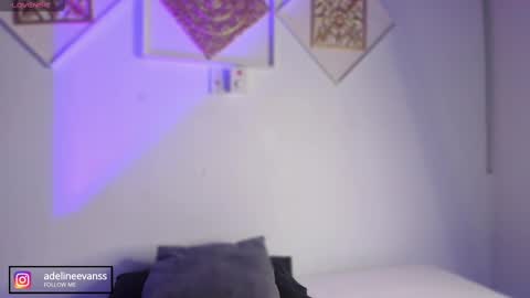 Snapshot of adelineevanss chatting on February 19, 4:01 am adeline online show from February 19, 4:01 am