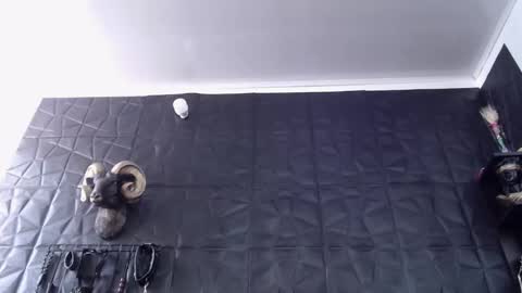  Miss Agata  online show from February 4, 6:33 pm