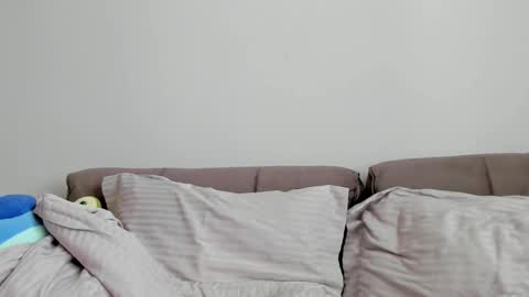 Ailey online show from October 7, 4:17 am