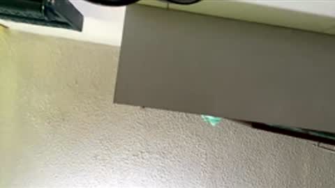 isabella online show from February 26, 1:10 pm