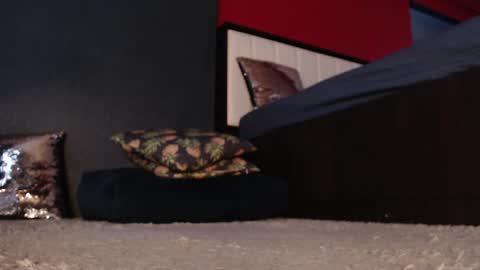 Snapshot of alanna_gold chatting on January 11, 5:20 am Alanna online show from January 11, 5:20 am