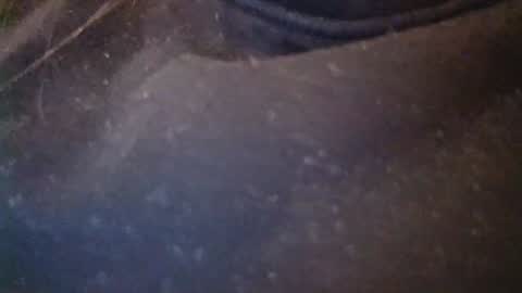 alejandradelaney online show from January 1, 3:14 pm
