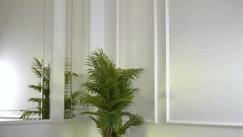 alexxiskye online show from December 5, 5:40 am