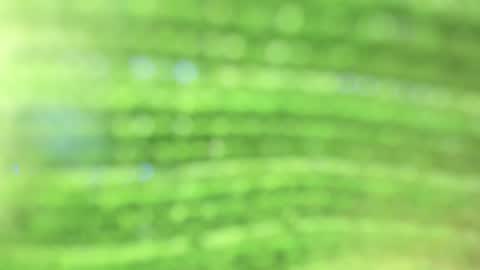 Alicia online show from October 23, 9:32 pm