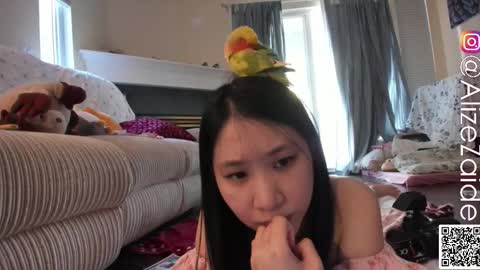 Snapshot of alizezaide chatting on October 14, 8:22 pm Alize Zaide online show from October 14, 8:22 pm