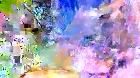 alliebearx online show from October 13, 4:37 am