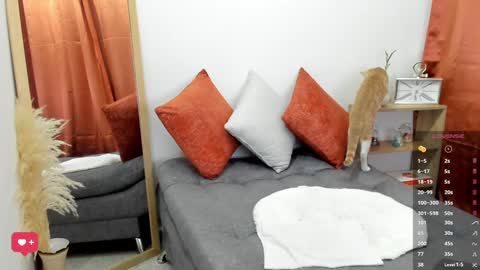    online show from February 1, 12:26 pm