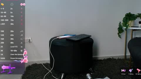 allymdo online show from November 19, 11:43 am