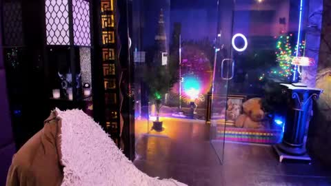 Alma online show from April 18, 10:29 am