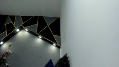 Snapshot of almma_ chatting on January 14, 3:04 pm ALMMA online show from January 14, 3:04 pm