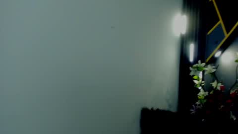 Snapshot of almma_ chatting on January 27, 2:24 pm ALMMA online show from January 27, 2:24 pm