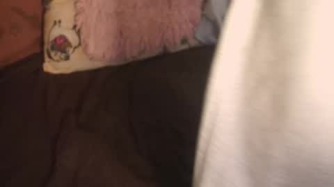 alvanalbach online show from October 6, 10:21 am