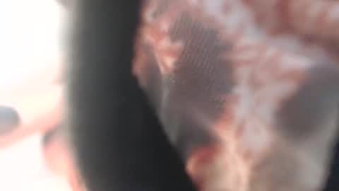 valentia online show from March 6, 12:17 am