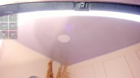 Amara Lewis online show from January 24, 12:10 pm