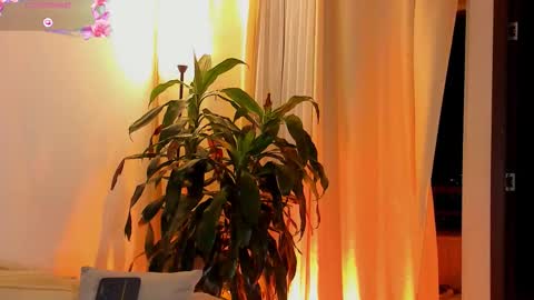 Amatista online show from November 6, 11:32 pm