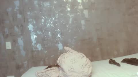 Snapshot of ameliporter_2 chatting on December 28, 3:37 pm ameli online show from December 28, 3:37 pm