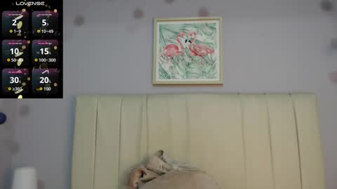 Amy online show from December 17, 1:26 pm