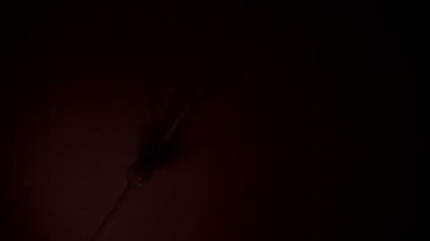 Ana online show from December 7, 3:04 am