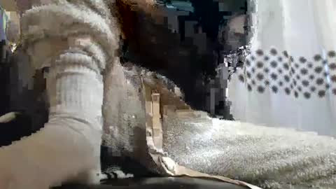 analove200 online show from February 13, 5:37 am