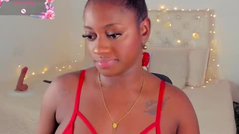 Snapshot of ananya_kay01 chatting on December 14, 3:17 am A N A my connection hours are from 600 pm to 12 pm Colombian time online show from December 14, 3:17 am