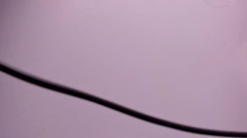 Snapshot of angel_hardy_dl chatting on October 31, 4:44 pm angel hardy online show from October 31, 4:44 pm