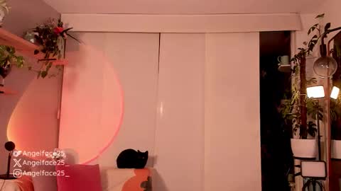 . online show from October 20, 11:08 pm