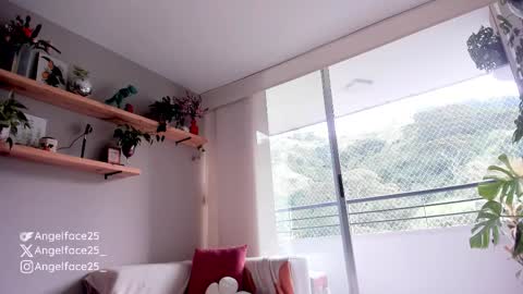 . online show from September 12, 10:06 pm