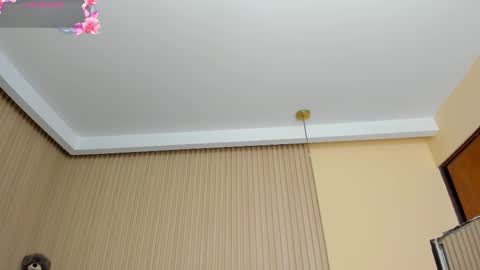 angeline online show from November 12, 12:03 pm