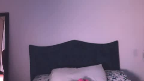 Angelinhaa  online show from February 19, 2:33 am