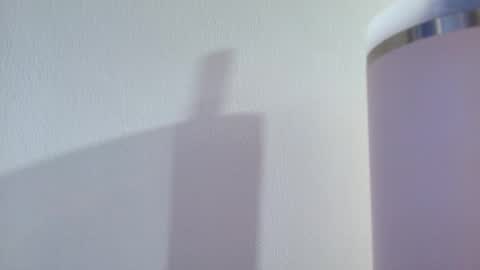 Snapshot of anisston_boods1 chatting on September 21, 8:24 am ana independent model online show from September 21, 8:24 am