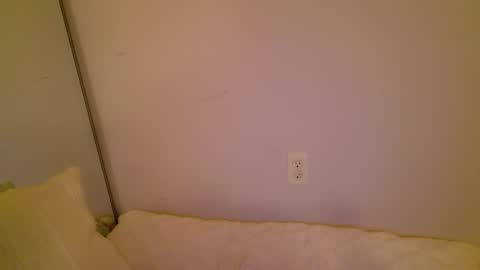 meow online show from November 16, 2:02 am