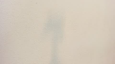 Aome online show from October 25, 11:11 pm