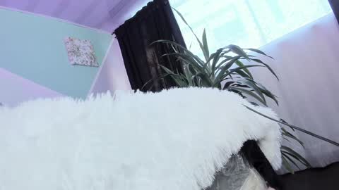 ASHLEY online show from January 11, 12:40 pm