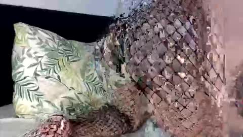 ashleyandchristopher online show from March 4, 3:02 am