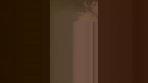 ashleyyyxx9 online show from June 10, 12:04 pm