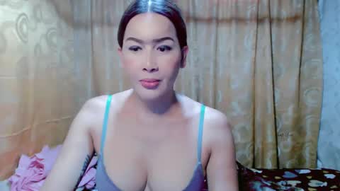 MISS ASIAN AMAYA online show from January 12, 8:25 am