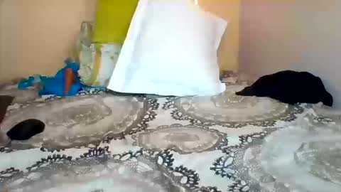 Snapshot of assqueen4 chatting on September 23, 4:54 am FLORAH DANIEL online show from September 23, 4:54 am