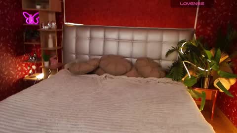 Aurora online show from February 26, 2:27 pm