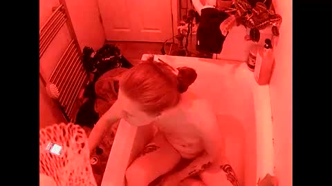 avafox_x online show from November 12, 7:12 pm