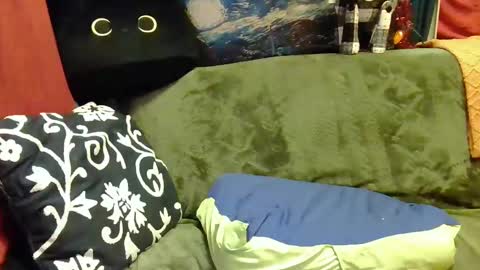 raven blue online show from January 6, 11:29 am