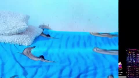 Snapshot of bbw_dirtyhot1 chatting on October 15, 3:53 am Michelle bbw online show from October 15, 3:53 am